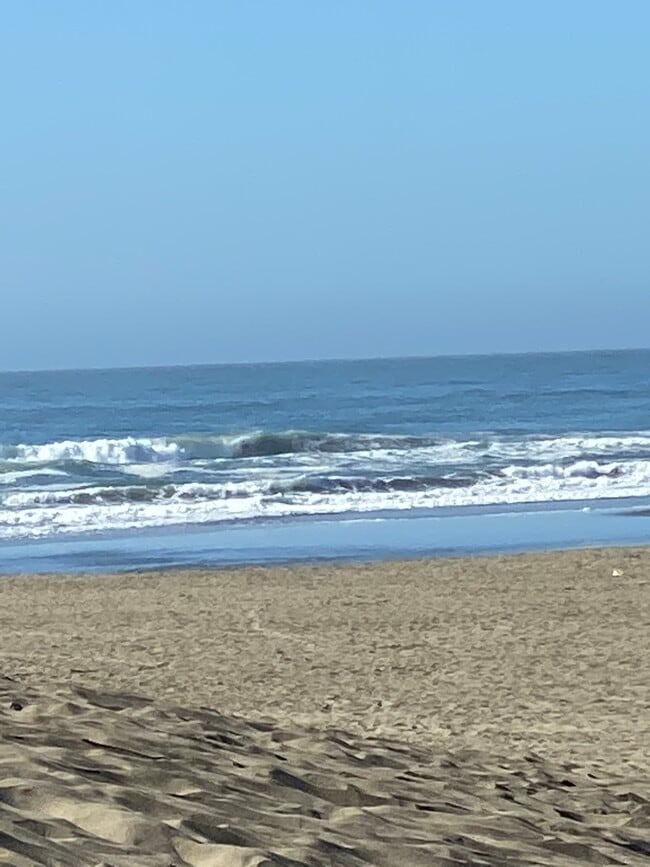 Building Photo - 1335 46th Ave