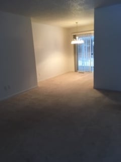 Foto del edificio - 2919 Bluff Ridge Dr