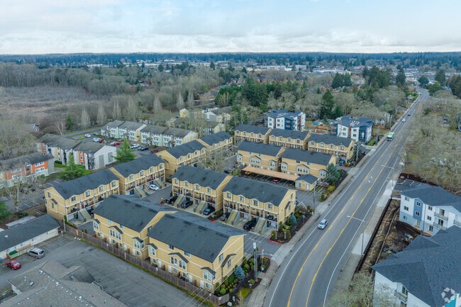 Aerial Context - Gravelly Lake Brownstones