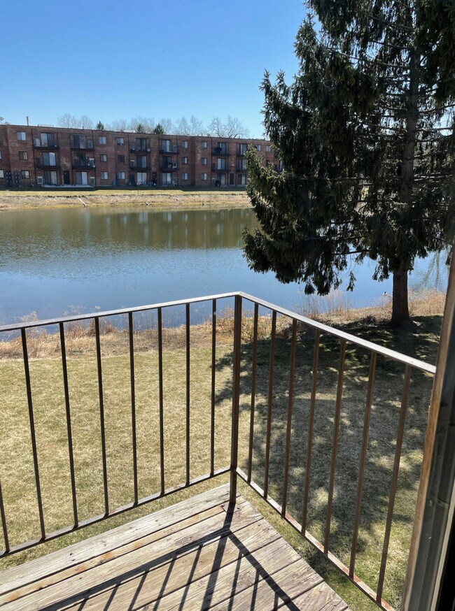 Building Photo - 257 E Rimini Ct