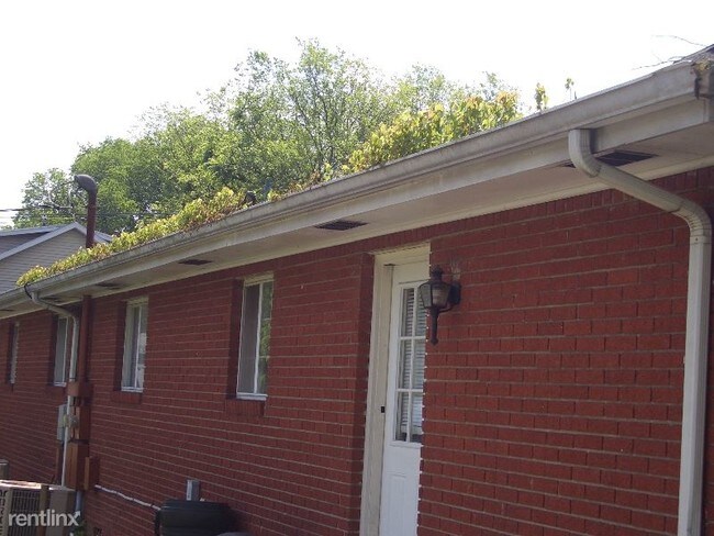 Building Photo - 2 br, 1 bath Apartment - 1 Ransom Rd