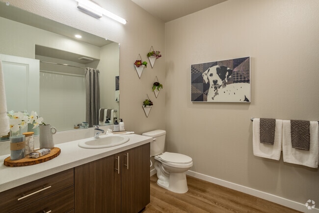 1BR, 1BA - 751SF - Talavera Apartments