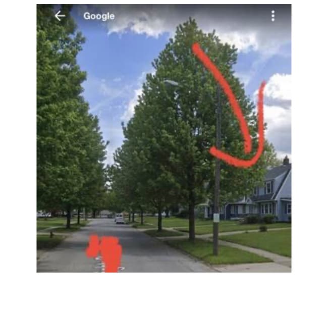 Photo - 17100 Maple Heights Blvd House