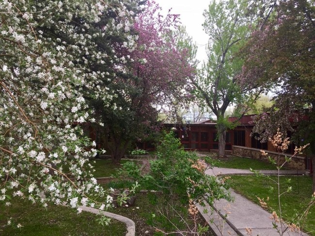 Foto del edificio - 620 Washakie St