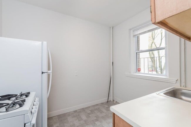 Building Photo - 49 Worthington St