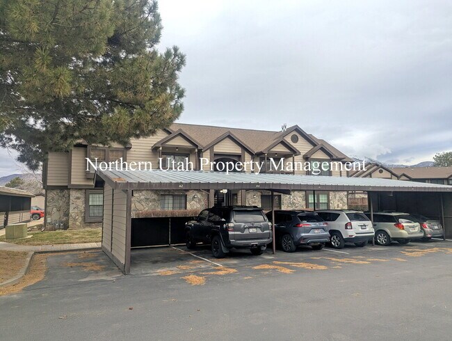 Building Photo - 2 Bed 1 Bath with AC