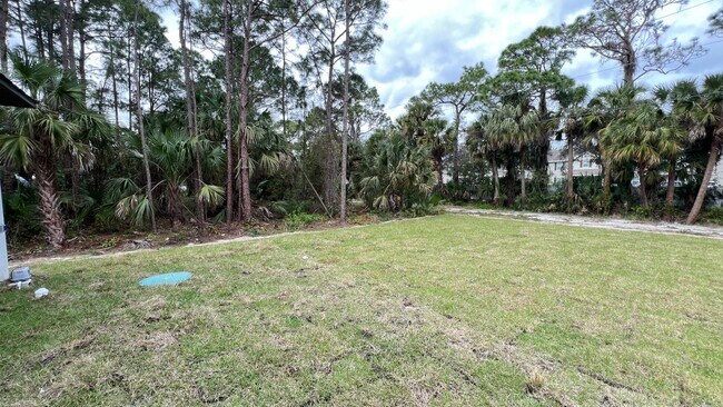 Foto del edificio - BRAND NEW 3 BD/2BA Home in Beautiful Palm ...