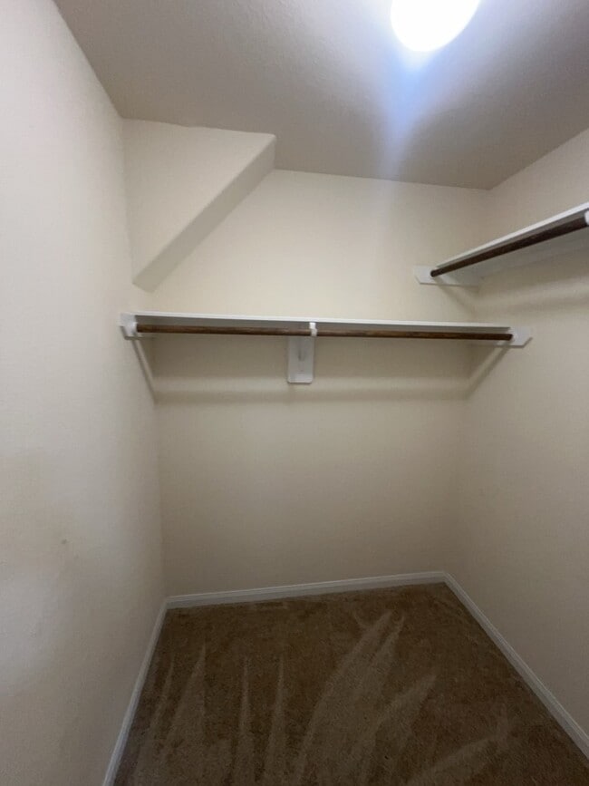 Building Photo - 13019 Italian Cypress Trail