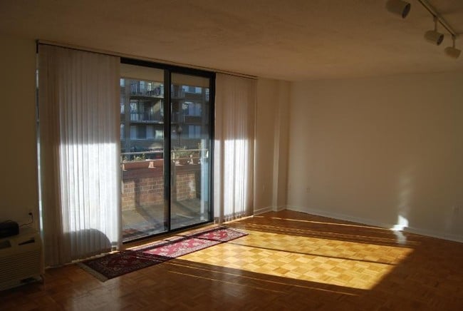 Front corner: lots of sun - 2141 P St NW