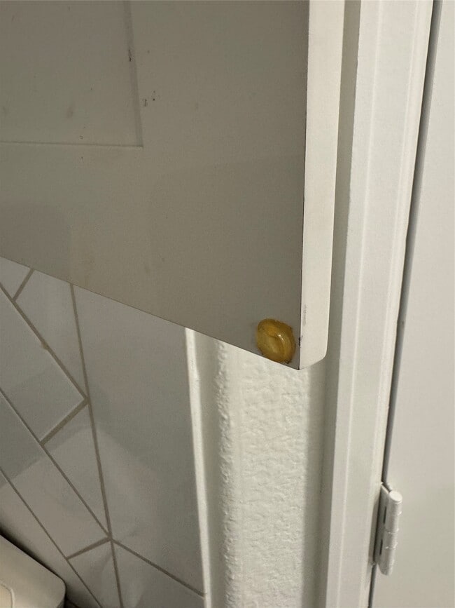 Building Photo - 2911 Cooper Hawk Ln