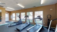 This single-floor fitness center at 5280 Tamarack Cir E in Columbus, Ohio is a well-equipped exercise facility designed to support a variety of workout routines. The space features warm, earthy-toned walls, a textured ceiling, and durable carpet flooring suited for high-traffic athletic use. Overhead fluorescent lighting, supplemented by ceiling fans for air circulation, ensures the room stays bright and comfortable during workouts.

The cardio area is lined with a row of treadmills and an elliptical trainer, all positioned along a wall of large windows that invite generous natural light and provide views of the surrounding outdoor greenery. This bright, open arrangement creates an energizing atmosphere for cardiovascular exercise.

The strength training section houses a multi-station cable and weight machine, a power tower for bodyweight exercises, free weights, and a weight bench, offering a comprehensive range of resistance training options. A large floor-to-ceiling mirror spans one wall, visually expanding the space and allowing users to monitor their form during workouts. Informational fitness posters are displayed on the walls, adding a practical and instructional element to the environment. An emergency exit and accessible entryways ensure the space meets safety standards. Overall, the fitness center presents a functional and well-lit environment suitable for a full range of exercise activities.