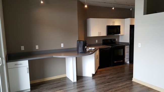 Studio kitchen from living space - Livingston Place