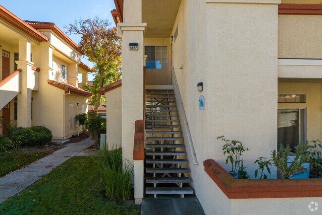 Entrada - Dublin Meadows