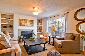 Building Photo - Tampa Woods