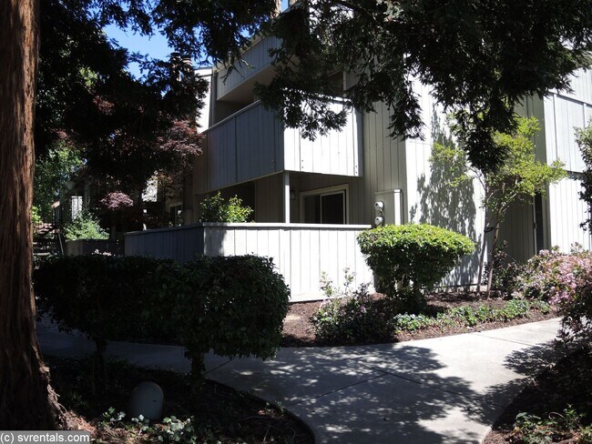 Building Photo - 905 Apricot Ave