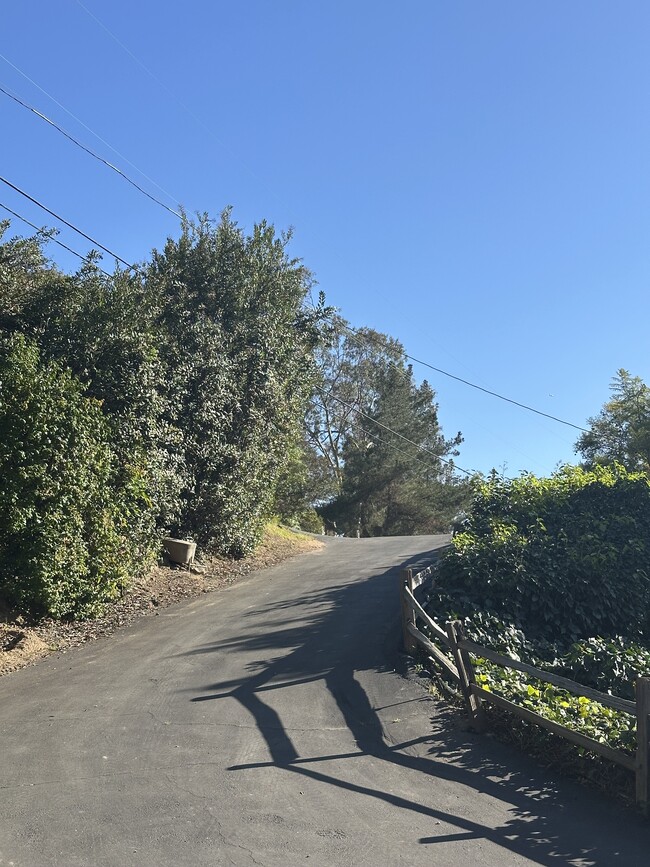 Building Photo - 4370 Calavo Dr