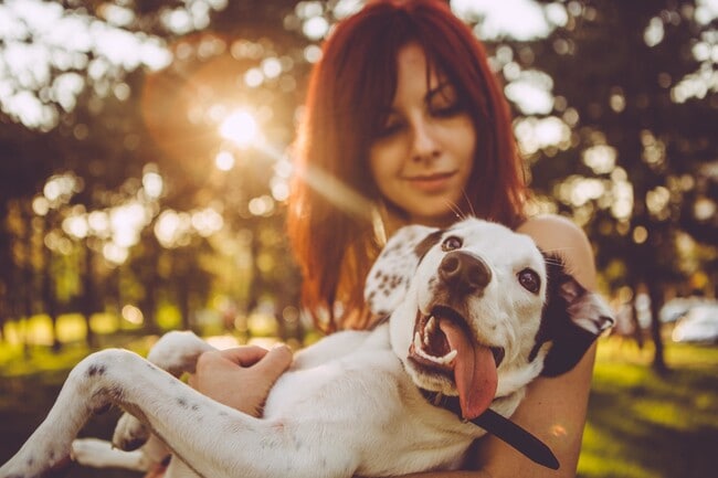 Pet Friendly Living - Prescott at West Hills