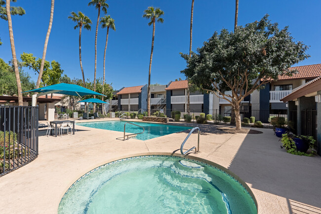 Oakridge Apartments Main Pool Area - Oakridge Apartments