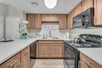 Building Photo - La Serena at the Heights