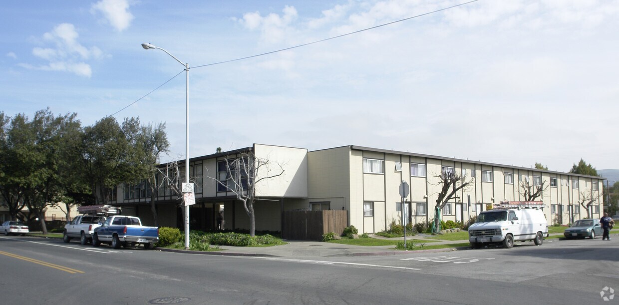 Building Photo - Tampa Apartments
