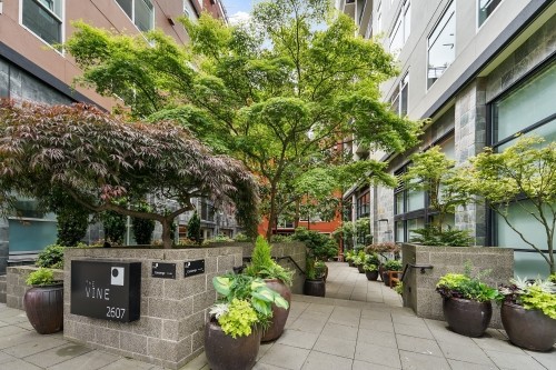 Primary Photo - Vine - 1 bedroom
