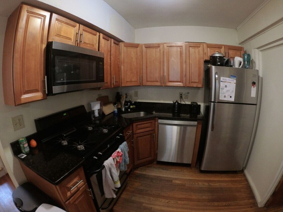 Primary Photo - No Brokers Fee. Walk to Agganis Arena, Lau...