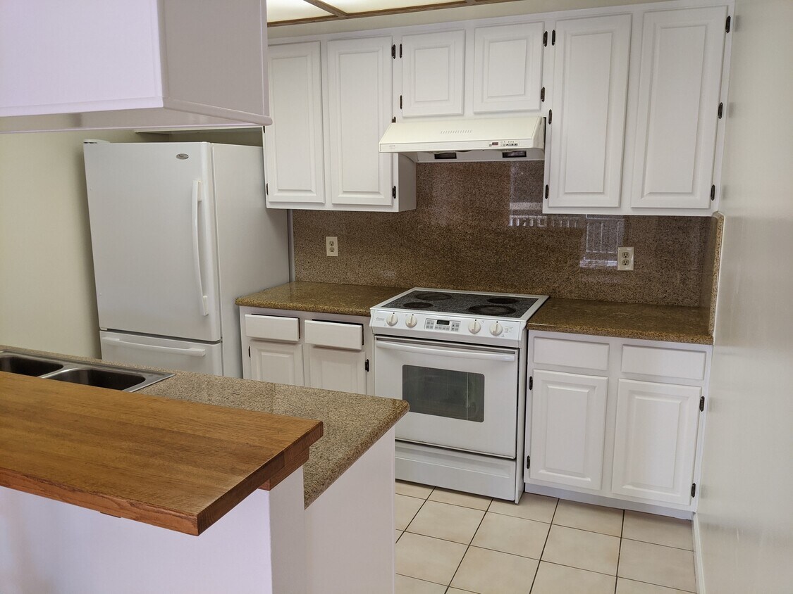 3715 Terstena Pl Unit 207, Santa Clara, CA 95051 Condo for Rent in