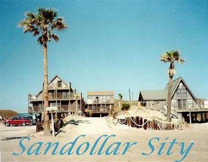 Primary Photo - Sandollar Sity