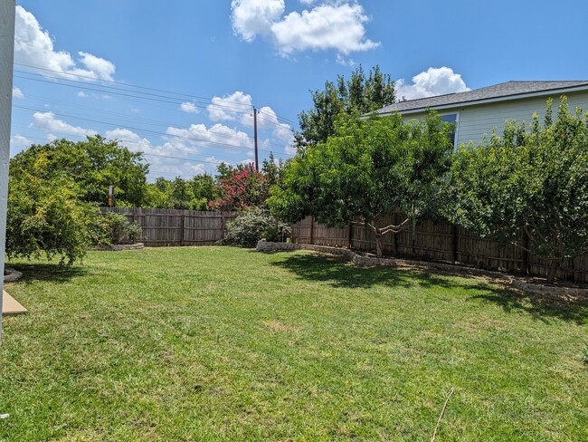 Fruit trees (Apricot, Peach, Persimmon & Pomegranate) - 4717 Lake Champlain Ln