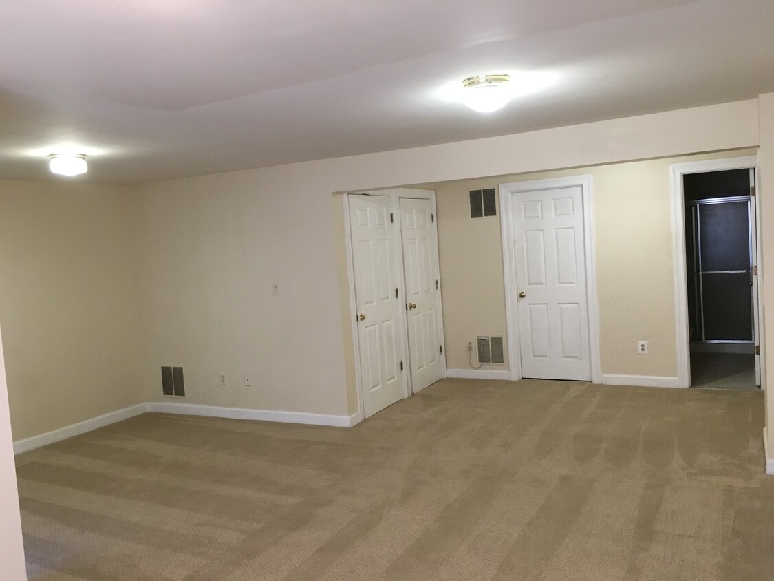 Facing back of the basement - 21178 Hedgerow Ter