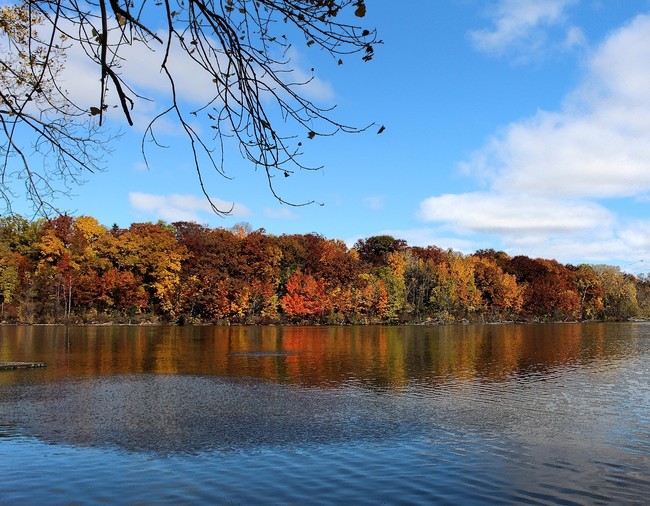 Gorgeous fall colors along the Fox River