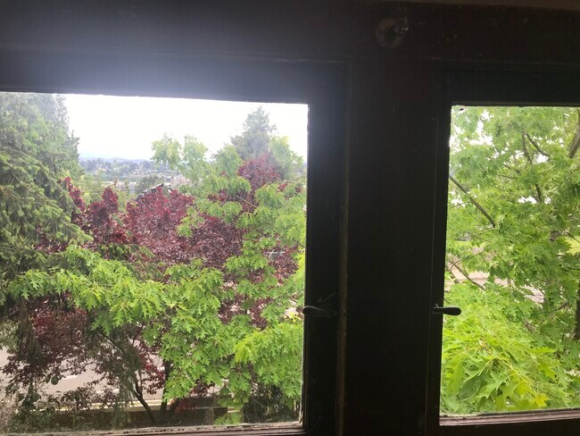 Room #2 window view - 520 1/2 Puget ST NE