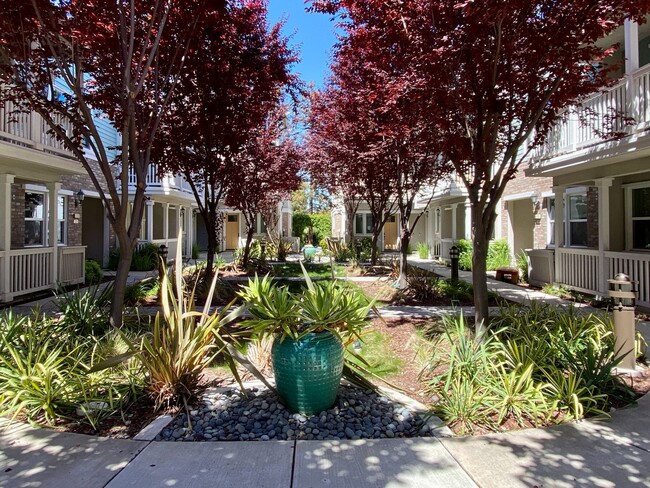Building Photo - Gorgeous 2 Bedroom 2.5 Bath Sandalwood Tow...