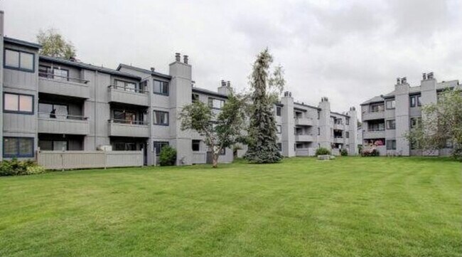 Shared Yard - 1615 Sitka St
