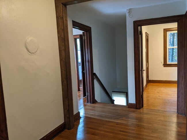 Building Photo - 902 Dacian Ave