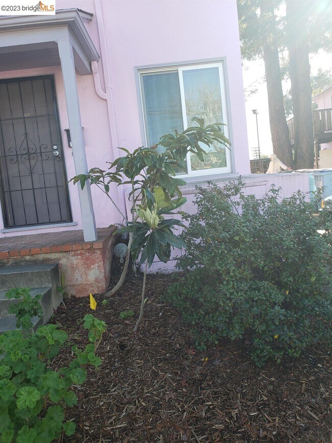 Building Photo - 1402 Berkeley Way