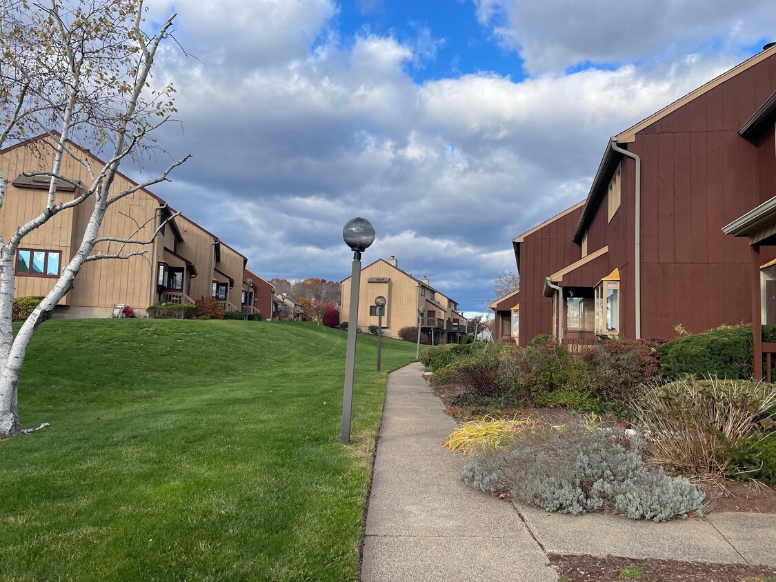 Building Photo - 123 Skyview Dr