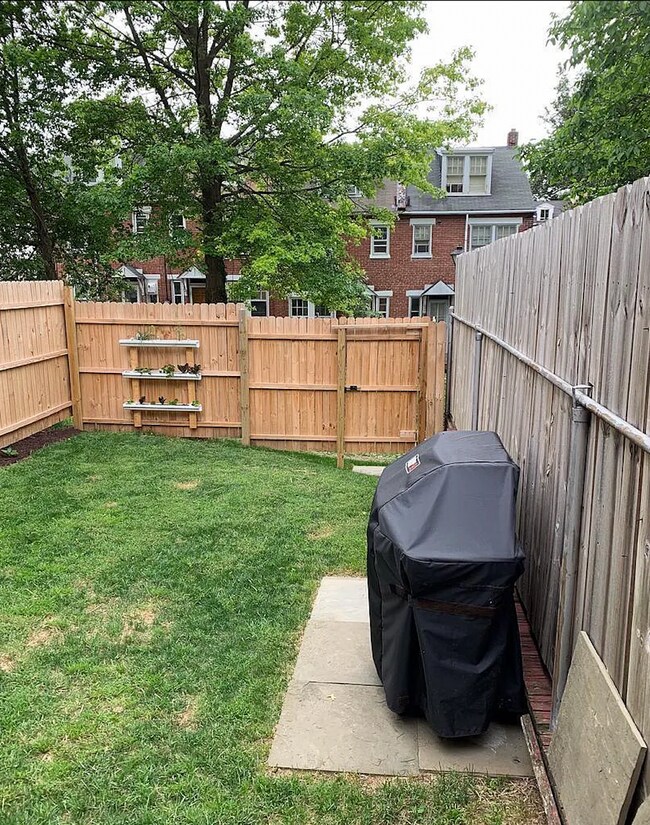 Back yard - 679 Poplar St