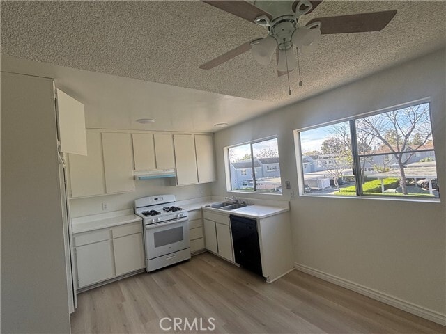 Foto del edificio - 167 Briarwood