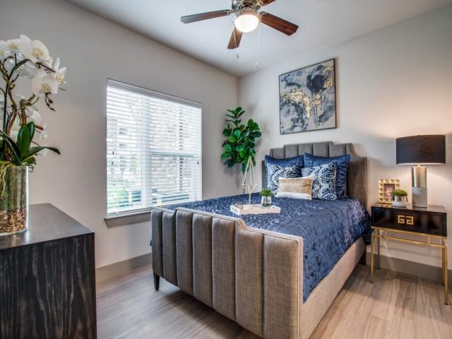 Foto principal - 1 bedroom in Dallas TX 75237