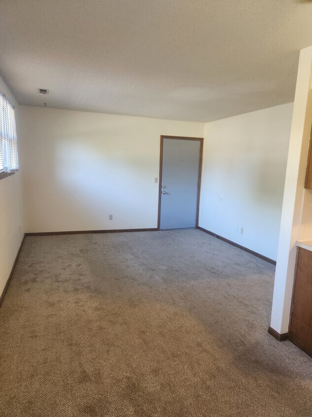 Living Room - 308 S Mulberry St