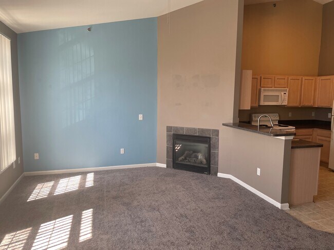 fire place - 14477 Vauxhall Dr