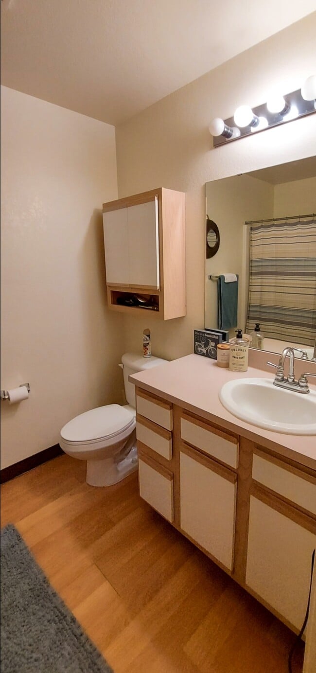 Bathroom - 18372 N Ridge Ct