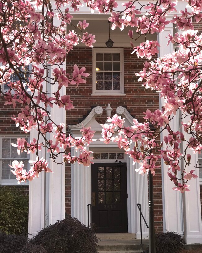 2828 Breezeway entrance - 2828 Thornhill Rd