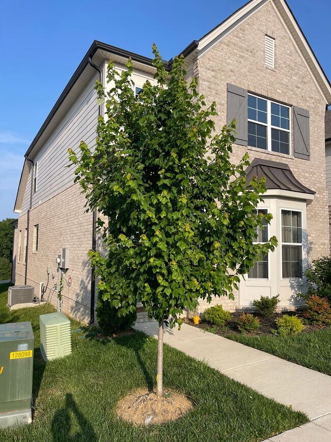 Building Photo - 131 Oasis Dr