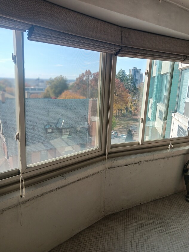 Sun Room View (West) - 101 Mulberry St