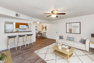 Interior Photo - Sahara and Playa Palms