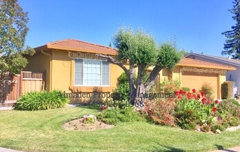 Building Photo - 6106 Vía De Las Abejas