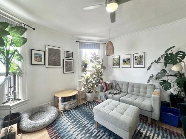 Building Photo - 2 Chicora Ave