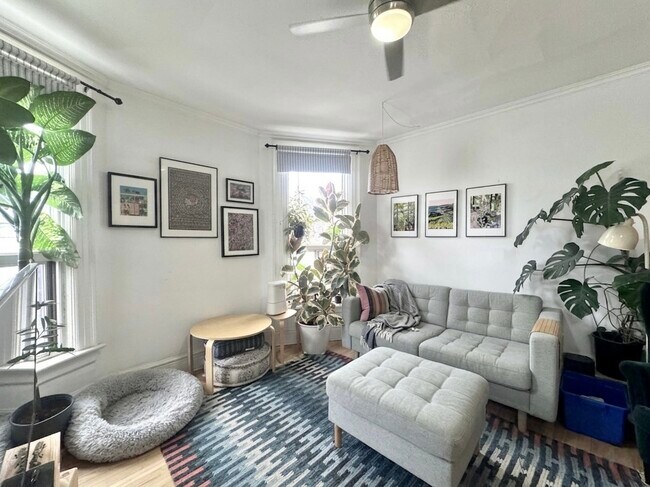 Photo du bâtiment - 2 Chicora Ave